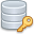 icons/32x32_0320/database_key.png